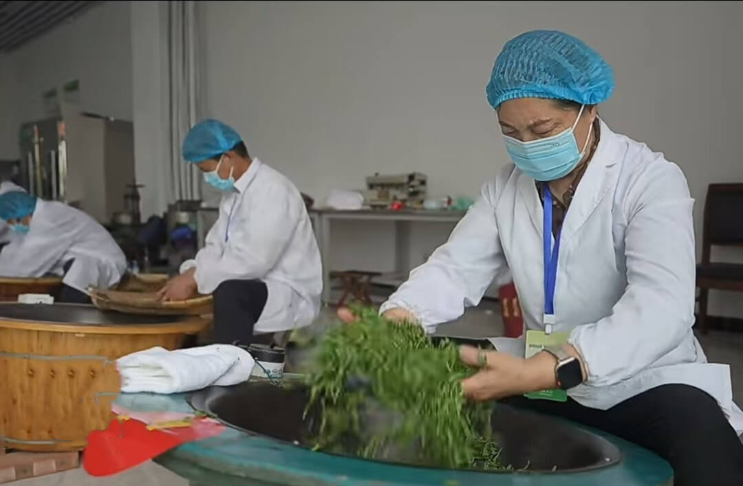 临沂市沂蒙山茶炒茶制茶技能大赛在莒南县举行